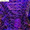Bazin Organza – Élégance et Prestige à 50 000 FCFA le complet